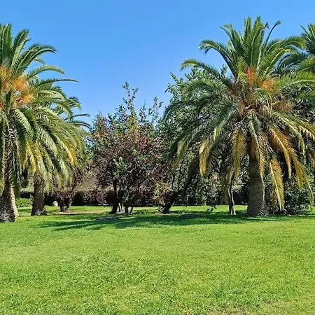 Soleluna